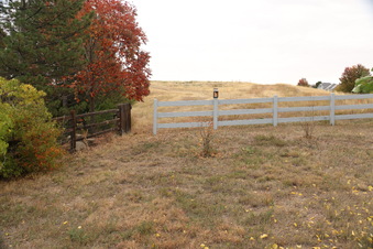 Enlarge photo 30