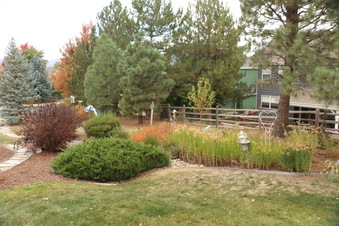 Enlarge photo 42