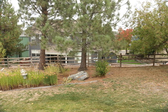Enlarge photo 43
