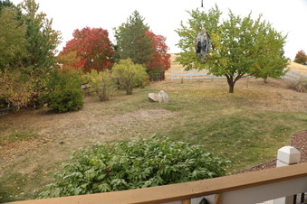 Enlarge photo 44