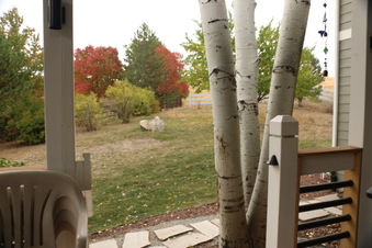 Enlarge photo 45