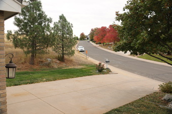 Enlarge photo 51