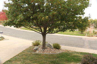 Enlarge photo 52