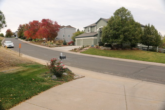 Enlarge photo 55