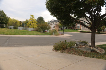 Enlarge photo 56