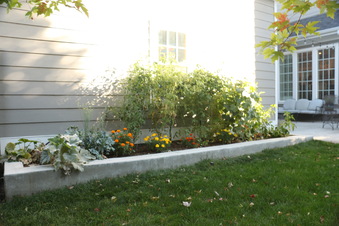 Enlarge photo 53