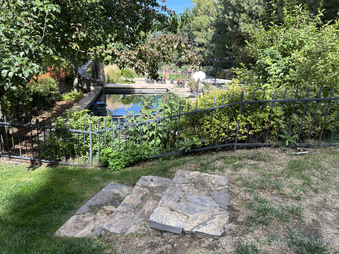 Enlarge photo 42