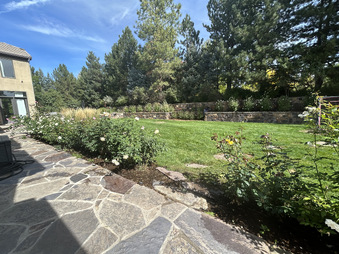 Enlarge photo 74
