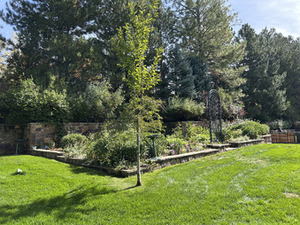 Enlarge photo 91