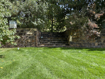 Enlarge photo 97