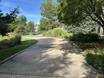 Enlarge photo 110