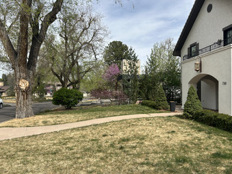 Enlarge photo 30