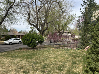 Enlarge photo 37