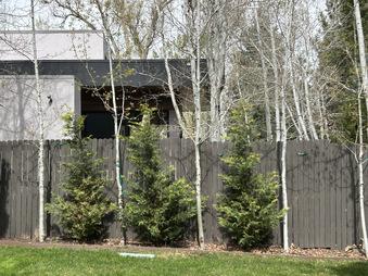 Enlarge photo 89
