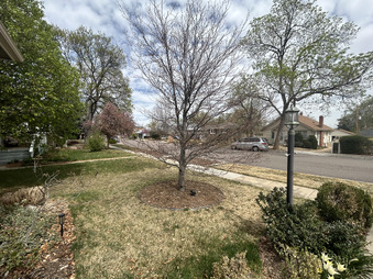 Enlarge photo 39