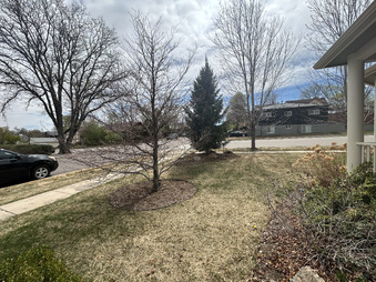 Enlarge photo 41