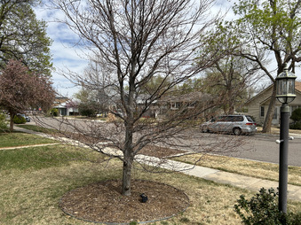 Enlarge photo 42
