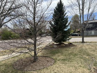 Enlarge photo 44