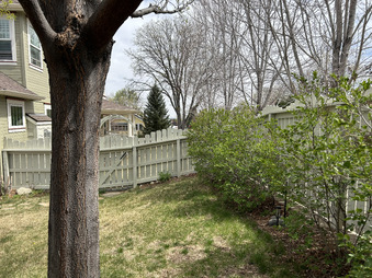 Enlarge photo 125