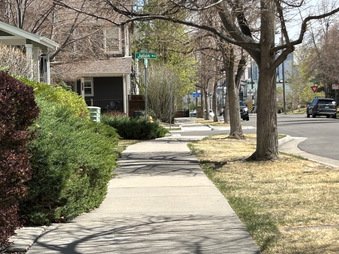 Enlarge photo 38