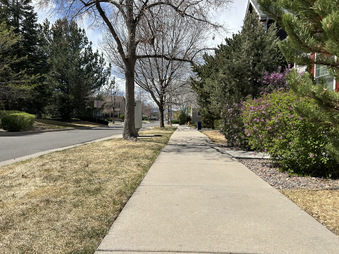 Enlarge photo 40