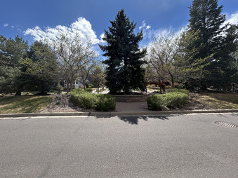 Enlarge photo 44