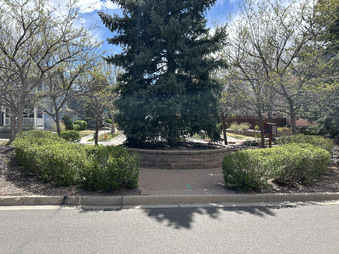 Enlarge photo 47
