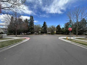 Enlarge photo 84