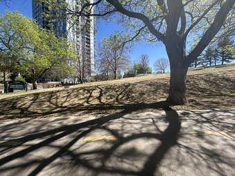 Enlarge photo 45
