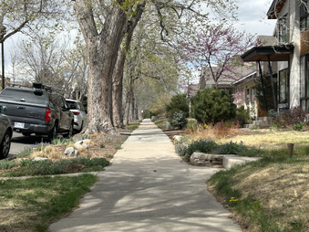 Enlarge photo 35