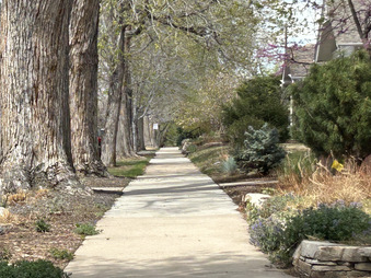 Enlarge photo 37