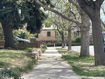 Enlarge photo 41