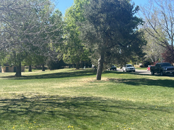 Enlarge photo 31