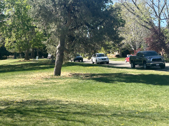 Enlarge photo 30
