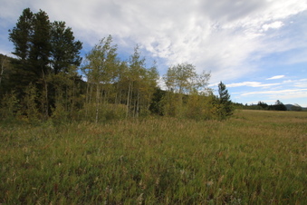 ASPEN MEADOW CAMPGROUND