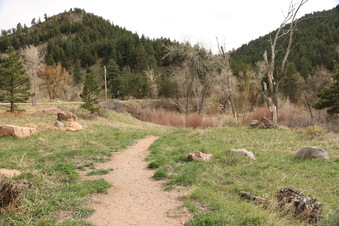 BUCKINGHAM PICNIC AREA