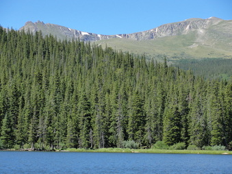 Enlarge photo 7