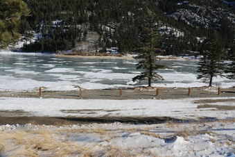 Enlarge photo 11