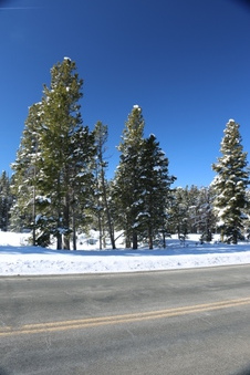 Enlarge photo 6