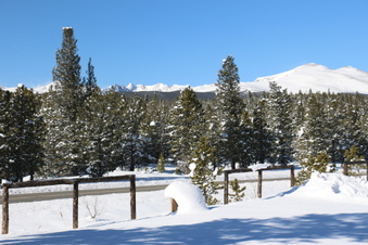 Enlarge photo 22