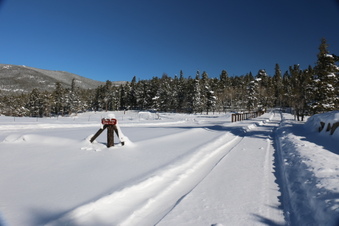 Enlarge photo 24