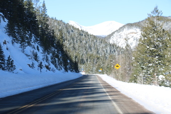 Enlarge photo 31