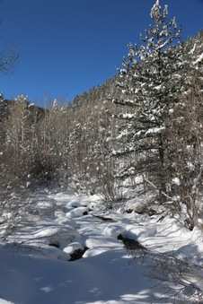Enlarge photo 53