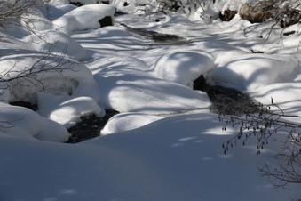 Enlarge photo 54