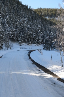 Enlarge photo 55