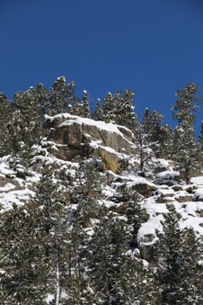 Enlarge photo 58