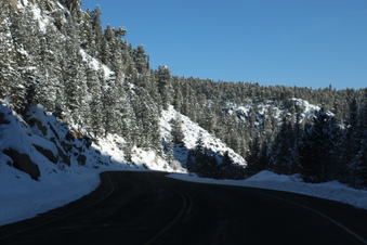 Enlarge photo 63