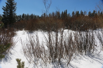 Enlarge photo 27