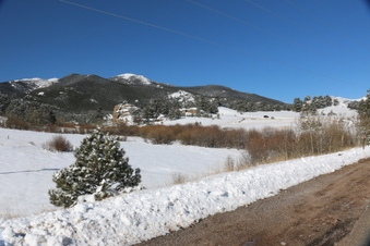 Enlarge photo 5