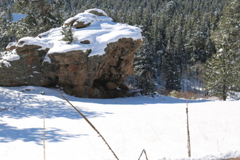 Enlarge photo 25